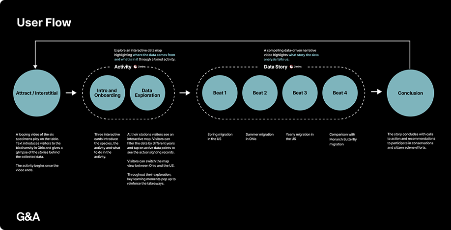 Biodiversity Table — visitor flow (Hummingbird Story)